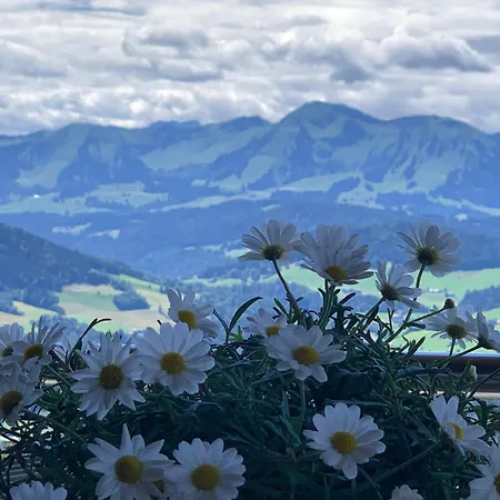 Alpenglueck Apartment Sulzberg (Bregenz)