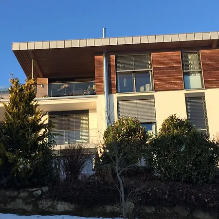 Alpenglueck Apartment Sulzberg (Bregenz)